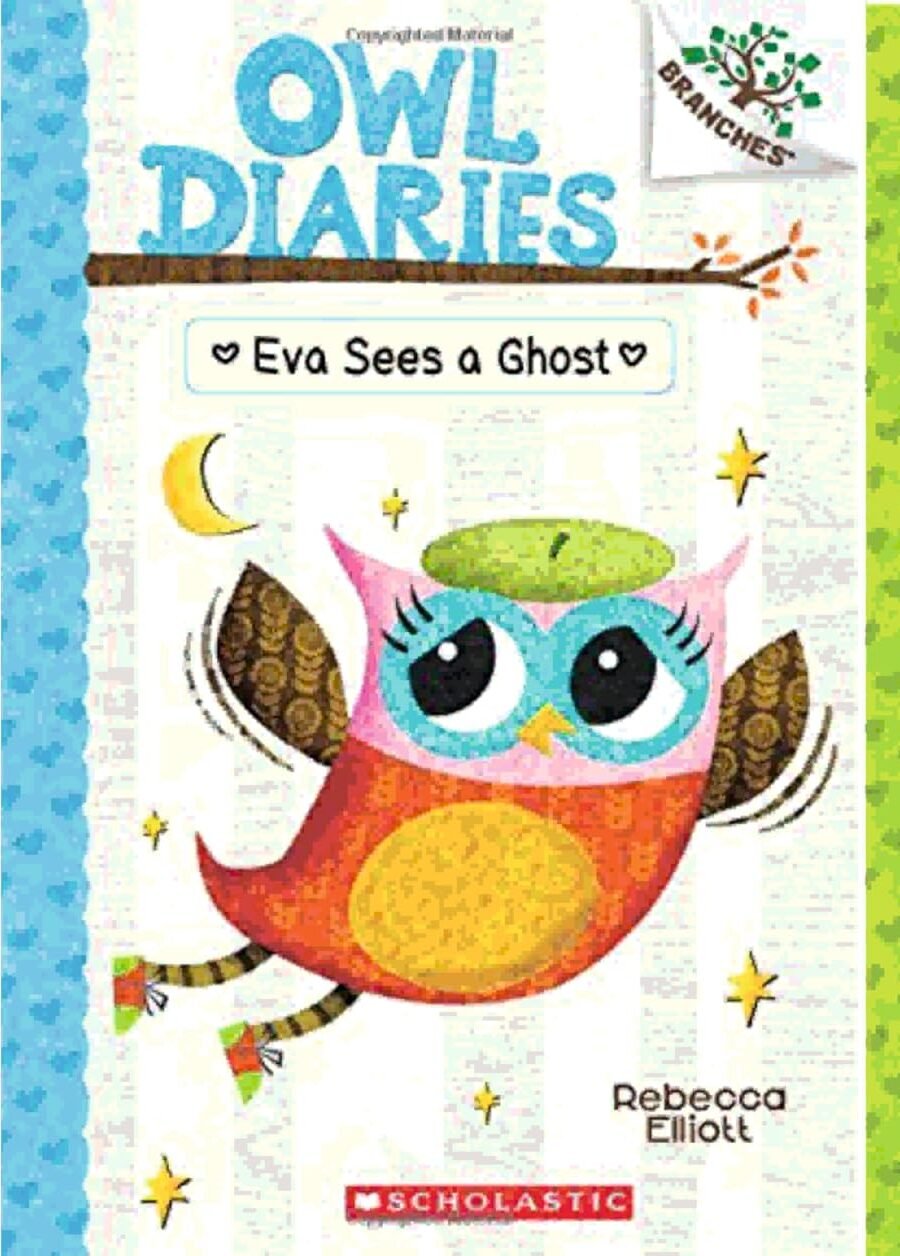 Owl Diaries 21 Books Complete Series Collection (Books 1–21)